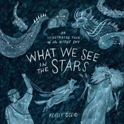 Hachette Books What We See In The Stars