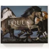 Hachette Equus
