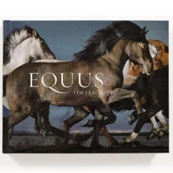 Hachette Equus