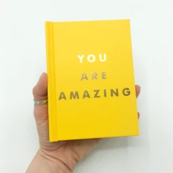 Hachette Books You Are Amazing
