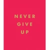 Hachette Books Never GIve Up