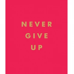 Hachette Books Never GIve Up