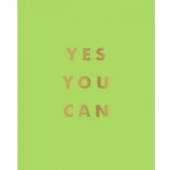 Hachette Books Yes You Can