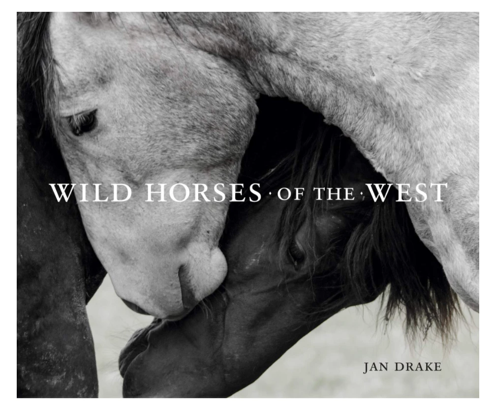 Gibbs Smith Books Wild Horses Of The West 3 Gibbs Smith Books Wild Horses Of The West