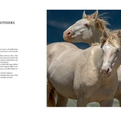 Gibbs Smith Books Wild Horses Of The West