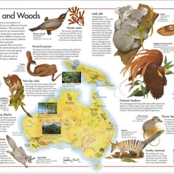 Penguin Random House The Animal Atlas