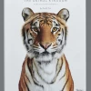 Penguin Random House The Animal Kingdom Books