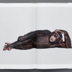 Penguin Random House The Animal Kingdom Books