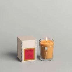Votivo Aromatic Candle-Red Currant