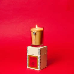Votivo Aromatic Candle-Red Currant