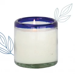 Paddywax La Playa-Salted Blue Agave Home