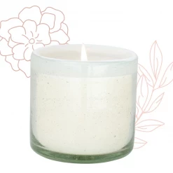 Paddywax Home La Playa-Amber + Coconut