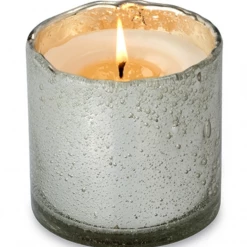 Himalayan Artisan Blown Glass Silver Tumblr