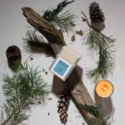 Votivo Aromatic Candle-Icy Blue Pine