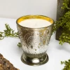 Himalayan Home Fleur De Lys Silver Tumbler
