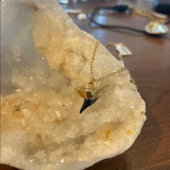 Jacqueline Nicole Brown Necklaces Black Tooth Necklace