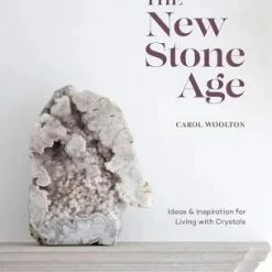 Hachette Books The New Stone Age